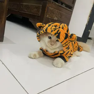 BAJU DINOSAURUS - Baju Hoodie Pakaian Hewan Kucing Anjing baju  kucing
