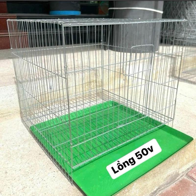  Lồng 50v lồng gà con lồng nuôi chim lồng gà tre lồng chó lồng thỏ nan 0,8cm 