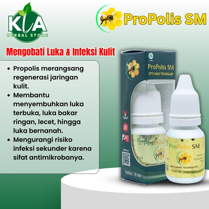 Gambar Obat Gatal Selangkangan, Selangkangan Jamuran, Ruam Kulit, Selangkangan Hitam, Kurap Selangkangan, Gatal Eksim Pada Selangkangan, Pemutih Selangkangan Hitam dan Gelap - Propolis SM dari kiaherbal Kota Administrasi Jakarta Barat Tokopedia