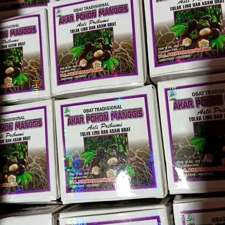 Akar Pohon Manggis Original 0