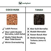 Gambar Workplant - Coco Husk Cocochip Media Tanam Untuk Anggrek dan Tanaman Hias Lainnya Atau Alas Substrat Kandang Reptile Siap Pakai Sudah Bersih Minim Patogen - Kecil dari workplant official Kota Surabaya 5 Tokopedia
