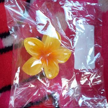 Product Review of 6 Pcs 4cm Mini Egg Flower Hairpins Gradient Candy Color Plumeria Side Bangs Hair Clips Sweet Braided Hair Clip Accessories from C**💜 0