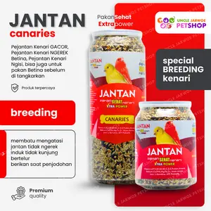 JANTAN Pakan Sehat Kenari Gacor Ngerek Ngisi Breeding