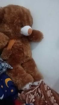 Product Review of boneka teddy bear syal telapak 75cm from a**a 0