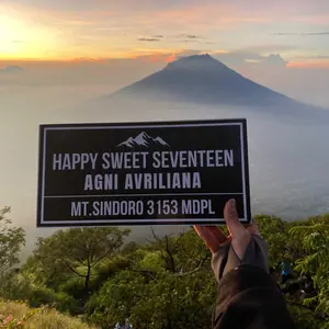 Custom Plakat Gunung Tulisan Happy Birthday Papan Nama Custom Sign Board Kayu MDF 15 x 30 CM