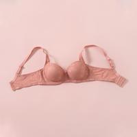 Gambar Felancy Bra Lace T-Shirt Daily Wear Wired Cup C 071-1103C - maving Blue, 36C/080 dari Felancy Intimate Indonesia Kab. Tangerang 4 Tokopedia