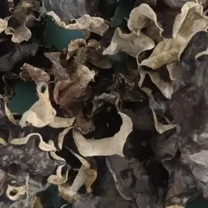 (PAKET 250GRAM) Jamur Kuping Kering Kemasan Praktis 250 Gram Cocok untuk Berbagai Masakan dan Kebutuhan Sehari-hari