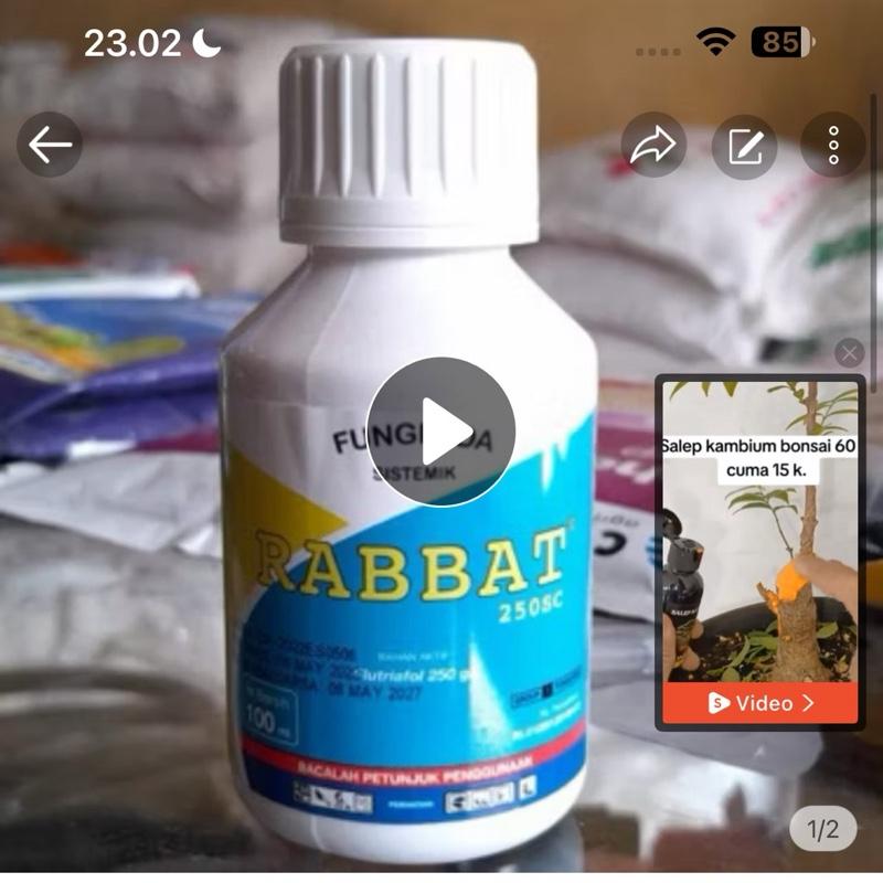 Original Rabbat Rabbat original ukuran 100kl dan 250ml - Shop | Tokopedia