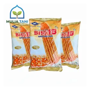 BISI 18 Benih Jagung Hibrida Cap Kapal Terbang 1 kg