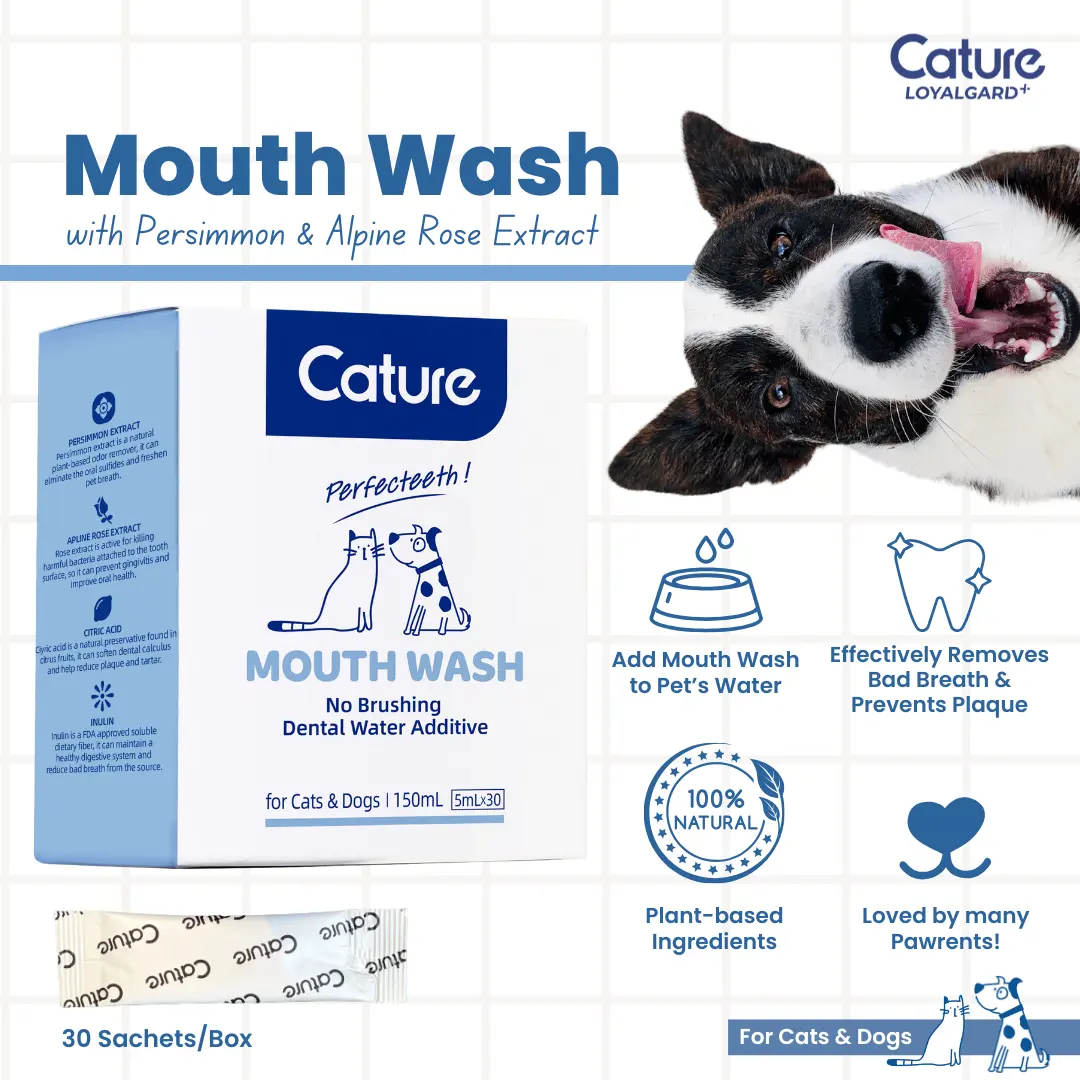 Cature Oral Care Pro Series - Mouthwash (Sachets)