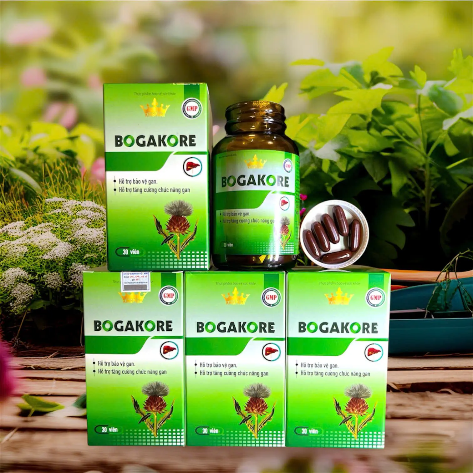 Bogakore GIẢI ĐỘC GAN chiết xuất Silymarin 200mg, Actiso, Bìm Bìm, Sài Đất, Diệp hạ châu- Giúp mát gan, giải độc gan, bảo vệ gan, hạ men gan, Hộp 30 viên nang mềm, Liver, Gan