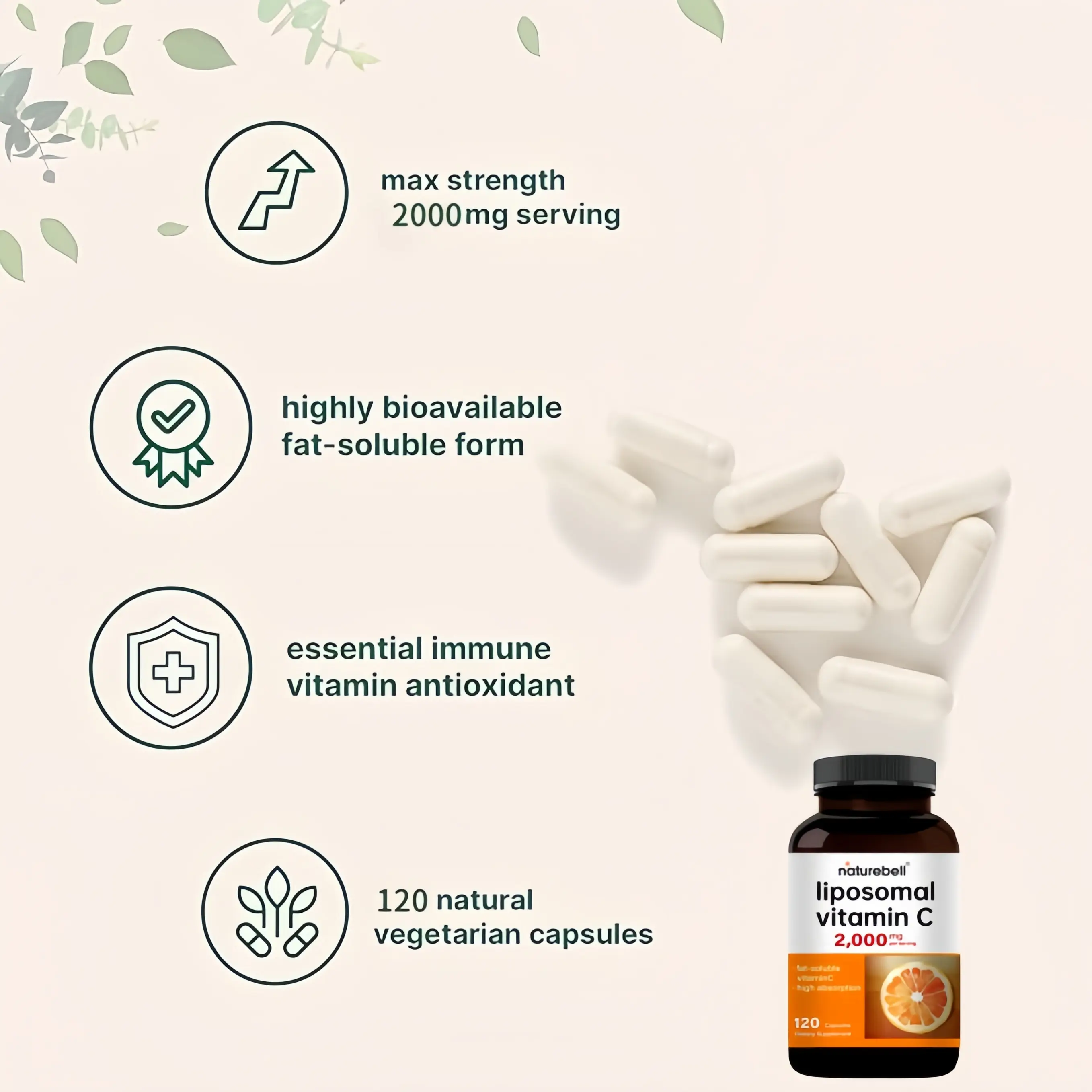 Liposomal Vitamin C 2,000mg Per Serving, 120 Capsules | High Absorption Fat-Soluble  Vitamins – Immune Support – Collagen Booster – Antioxidant Supplement –  Non-GMO