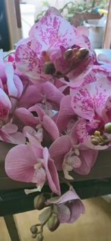 Product Review of Bunga Anggrek Bulan Latex Cabang 9 Orchid - 1 PCS  Bunga Plastik Import - Bunga Dekorasi - Bunga Artificial murah from K**g T**u 0