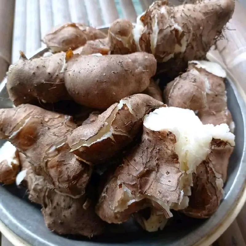 gembili mbili gembolo super makanan desa sehat 1
