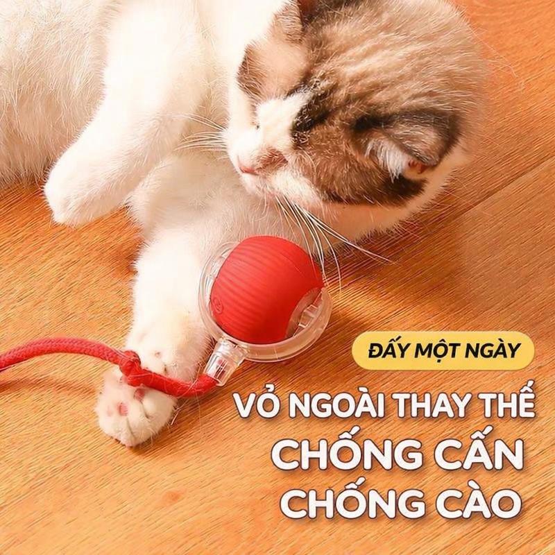 [6 Mẫu]Bóng Đồ Chơi Cho Mèo Tự Động Né Chướng Ngại, Bóng Chạy Thông Minh Cho Mèo, Sạc USB, Đèn LED, Giúp Mèo Vận Động