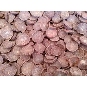 pinang iris coin kwalitas terbaik/1kg