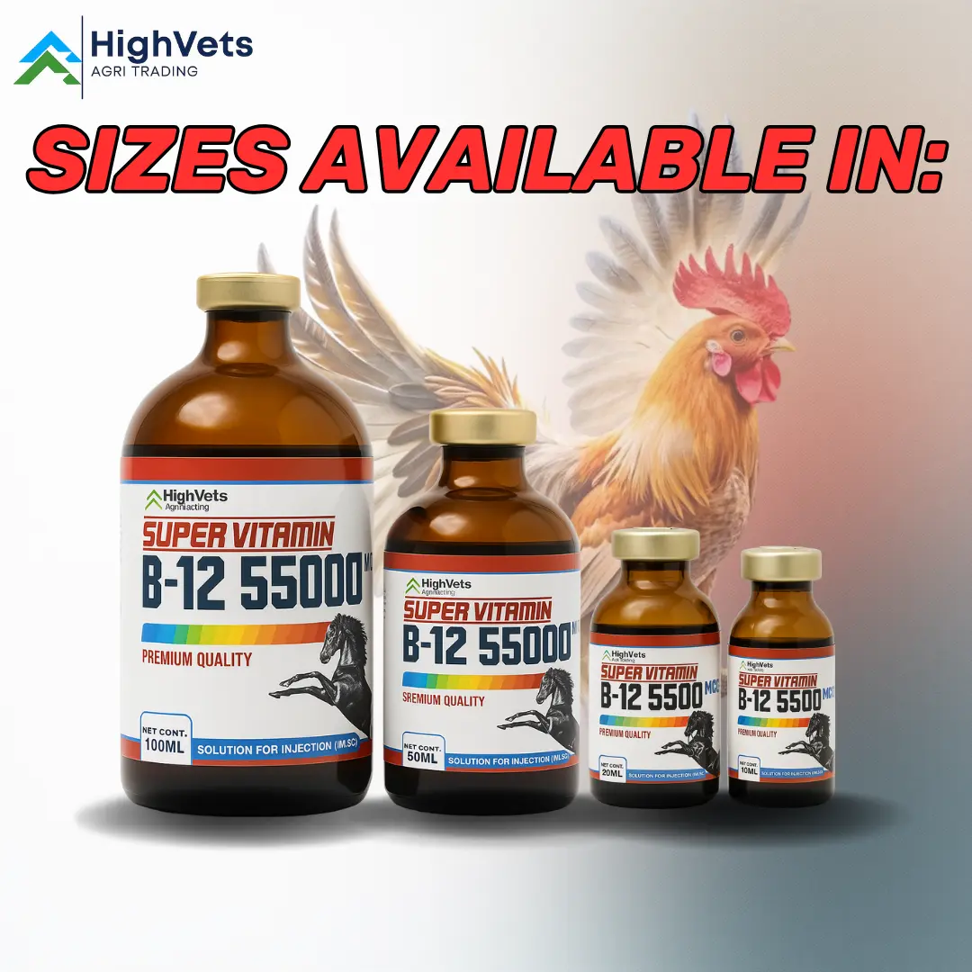 SUPER VITAMIN B12 + B15 FOR ROOSTER, GAMEFOWL CONDITIONING AND POULTRY ANIMAL SUPPORT BY HIGHVETS POULTRY SUPPLIES High-Performance Livestock, SUPER BITAMINA. B12+15 BOOSTER - TikTok Shop Philippines SUPER VITAMIN B12 + B15 FOR ROOSTER, GAMEFOWL CONDITIONING AND POULTRY ANIMAL SUPPORT BY HIGHVETS POULTRY SUPPLIES High-Performance Livestock, SUPER BITAMINA. B12+15 BOOSTER - TikTok Shop Philippines