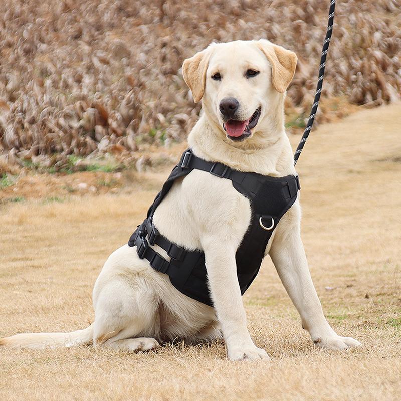 DODO-Dây Đai Chiến Thuật Cho Chó, Áo Vest Huấn Luyện Thú Cưng Quân Đội, Chó Chăn Cừu Đức K9, Bộ Dây Đai Và Dây Xích Cho Chó Nhỏ, Vừa Và Lớn 9