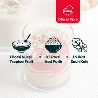 Gambar Oatsy Muesli Tropical Fruit 500g - (Triple Pack) dari Oatsy Oatmeal & Muesli Kota Administrasi Jakarta Barat 3 Tokopedia