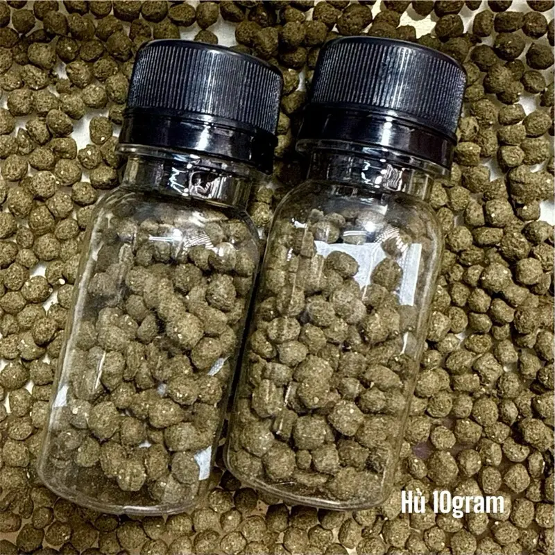 CÁM FINY HỖ TRỢ CHO LÓC LẠNH -Hỗ trợ vây kì và kích màu sắc cho cá-Nữ hoàng, Andrao, Hoàng đế, Tiểu hoàng đế,phdv… cám  finy hạt mới nâng cấp 6