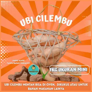 UBI CILEMBU UKURAN MINI 1KG ISI 10-16 BIJI