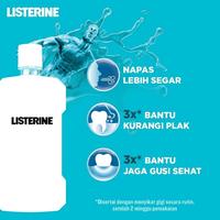 Gambar Listerine Antiseptic Mouthwash/Obat Kumur Antiseptik 250ml/Green Tea/Tartar Control - Green Tea 250ml, Listerine  dari Kios Branded_NEW Kota Administrasi Jakarta Barat 5 Tokopedia