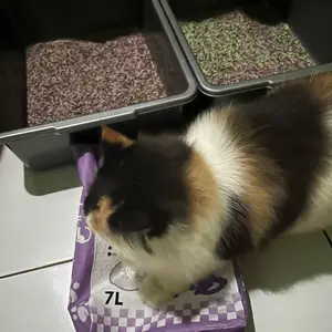 helluva Pasir Kucing Tofu 7L  PasirKucing Soya / Cat Tofu Litter/ Pet Litter Sand  Odor ControlMulticolor untuk Anjing dan Kucing