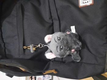 Product Review of [ENH] Unoff Enhypen Doll Plushie Jay Jake Heeseung Niki Jungwon Sunoo Sunghoon Boneka karakter Toys from ☆**☆ 1