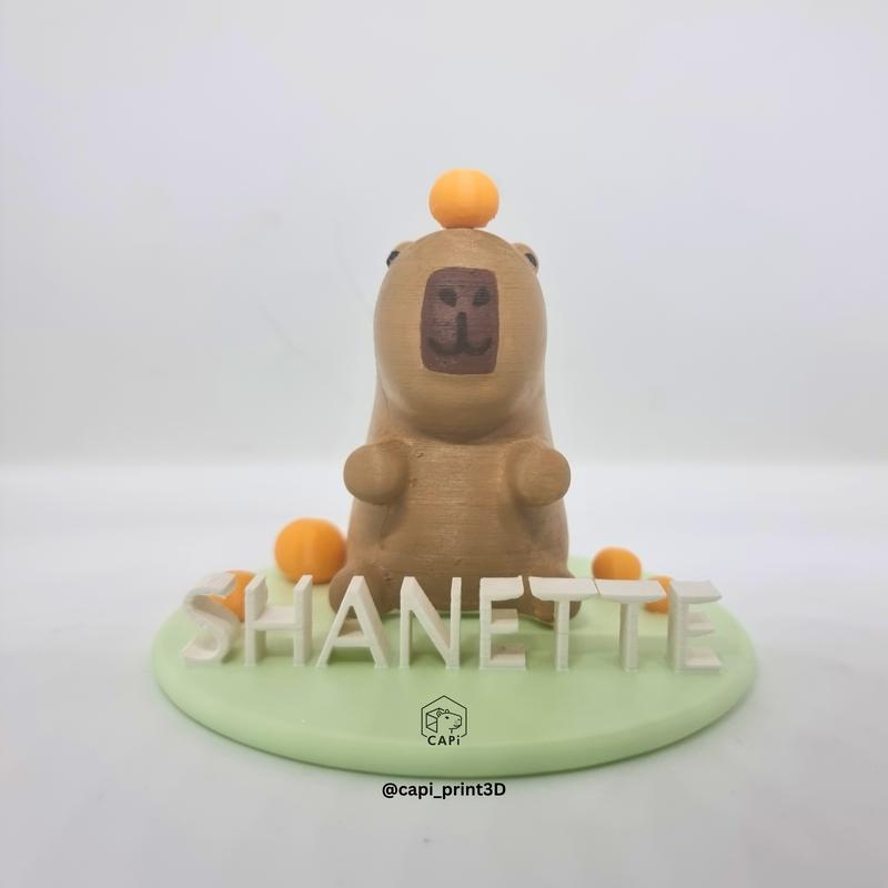 Figur Capybara Lucu Custom dengan Nama & Tumpukan Jeruk - Mainan Lucu - Toy Anak 6