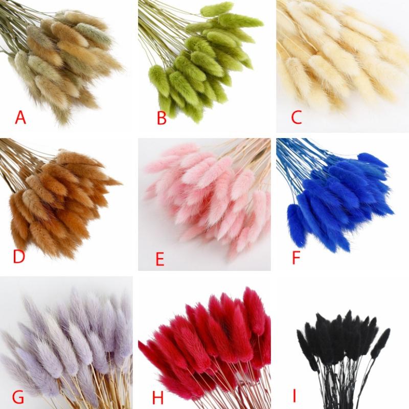 Product Introduction of 50pcs Rabbit Tail Grass Dried Flower Bundle True Flower Eternal Flower Dog Tail Grass Dried Flower Home Decoration 23