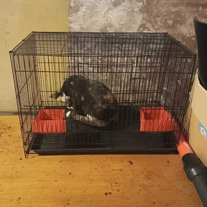 Kandang Hewan, Sangkar lipat, kandang besi Seperti Sugar Glider, tupai, Kucing dll