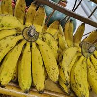 Gambar Pisang Raja Bulu Per Sisir -Raja Alpukat dari RAJA ALPUKAT Kota Administrasi Jakarta Timur 4 Tokopedia