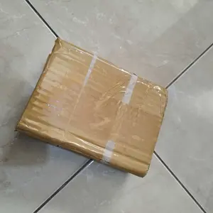 tanaman asli bambu hoki media wabikusa  hiasan aquarium