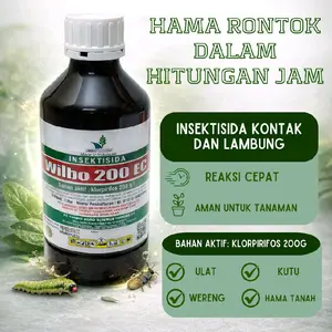 Wilbo 200 EC Insektisida Kontak dan Lambung Bahan Aktif Klorpirifos 200g Aman untuk Tanaman Mengatasi Ulat Kutu Wereng dan Hama Tanah persamaan dusban kemasan 1 liter