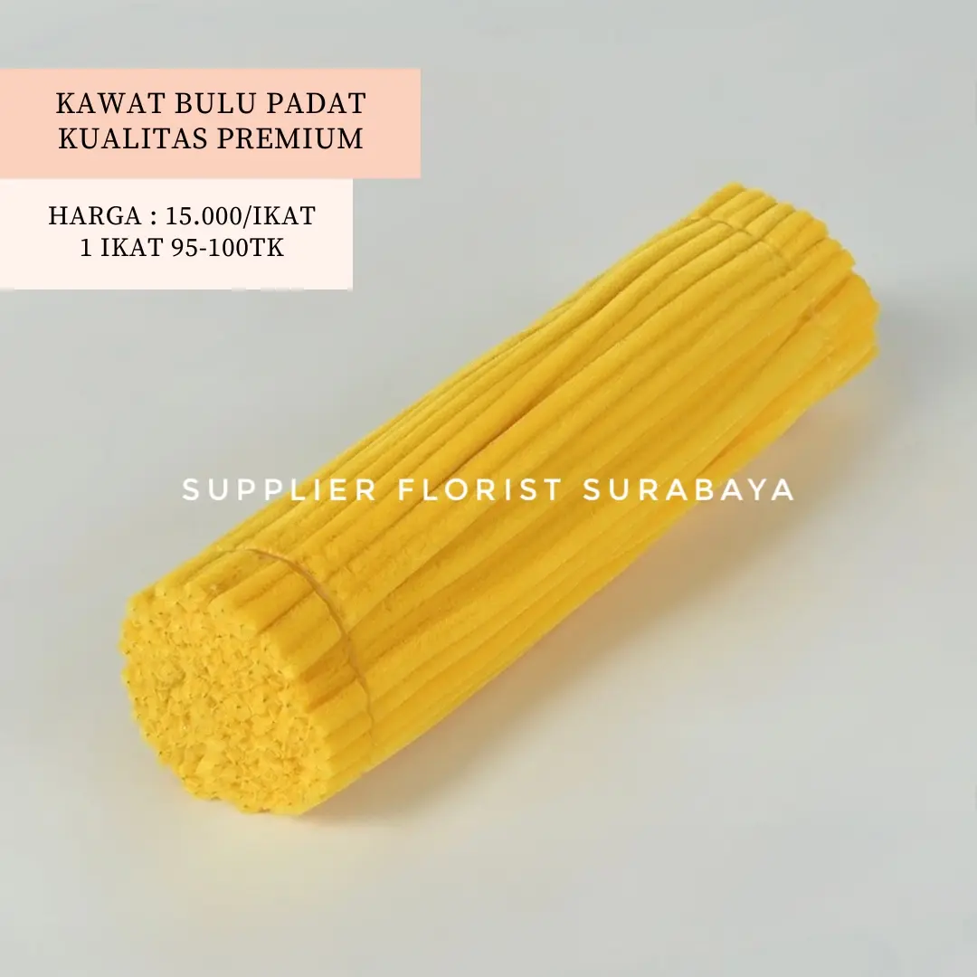 KUNING TUA (PADAT)