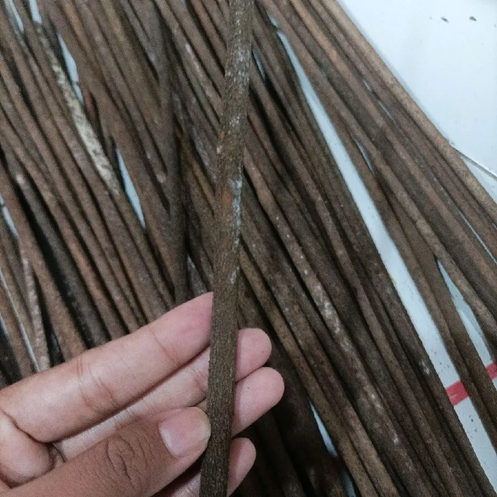 Serat Kasar Sogon/Konin