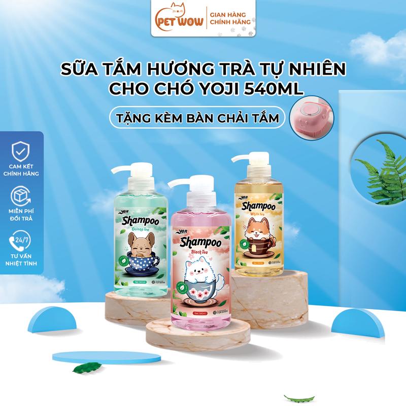 SPA VIP CHO CÚN Sữa Tắm Hương Trà Tự Nhiên Cho Chó YOJI 540ML Tặng Kèm Bàn Chải Tắm Tạo Bọt