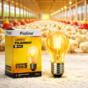 Lampu Penghangat unggas 5 Watt Ayam Burung Lampu Penghangat Pioline Lampu Filament PS5 Super Hyper 5 Watt Tegangan Rendah 220V untuk penghangat ayam / Pencahayaan Rumah / Cafe