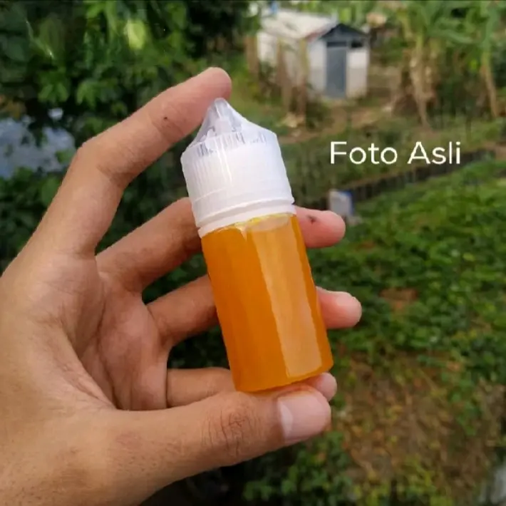 Essen Oplosan Durian Kweni Cempedak Target Ikan Mas Indukan/Babon 043 2