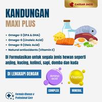 Gambar Vitamin Anjing Nafsu Makan Berat Badan Kurus Bulu Rontok Kusam dari Caesar JacO Kota Administrasi Jakarta Barat 5 Tokopedia
