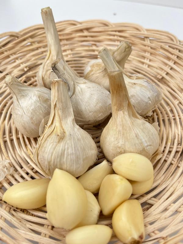BAPUT KATING 500GR 1 KG  BAWANG PUTIH KATING FRESH 7