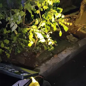 ORIGINAL LAMPU LASER LED  D2 MINI LAMPU D2 LASER LAMPU SOROT HIGH QUALITY | LAMPU LASER D2 MINI 15 WATT 2 WARNA HIGH BEAM