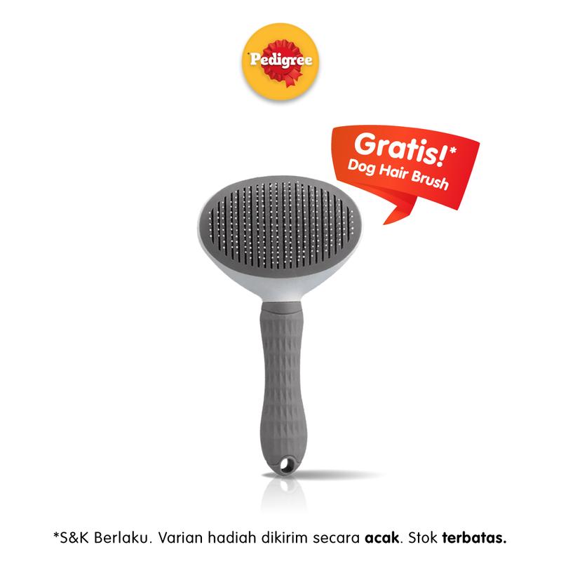 [ HADIAH TERBATAS ] Dog Hair Brush 0