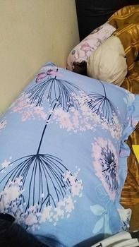 Product Review of BANTAL CINTA + SARUNG ALANG ALANG from L**m 0