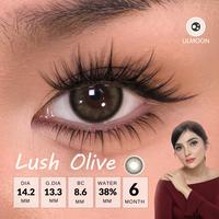 Gambar [Fuji Favorite] Lilmoon Softlens Lush Olive Warna Natural Desain Jepang Minus (0 sd -8.50) - -0.00 dari Lilmoon Official Kota Administrasi Jakarta Selatan 4 Tokopedia