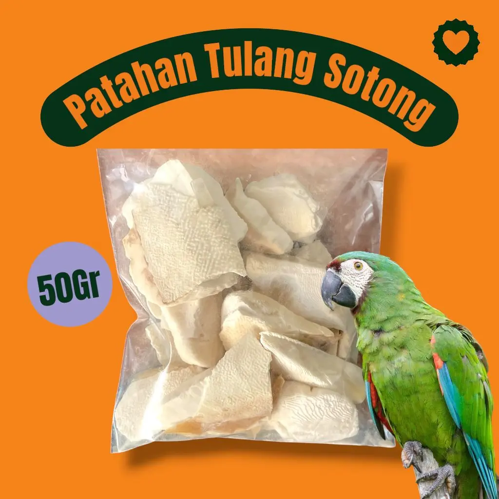 Patahan Tulang Sotong Ukuran Besar/Kecil 50gr
