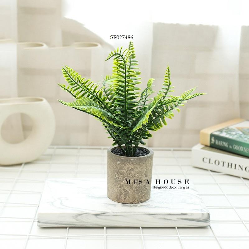 Chậu cây xanh giả để bàn mini nhỏ xám để bàn trang trí tủ kệ nhà văn phòng cửa hàng - đồ decor trang trí phòng khách phòng ngủ bàn học bàn làm việc đẹp độc đáo Misa House decor 3