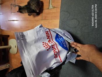 Product Review of Royal Canin Indoor 27 Dry Cat Food 2kg & 4kg from H**G 0