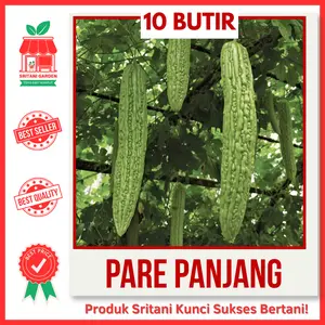 10 BIJI - BENIH PARE PANJANG BESAR UNGGUL PILIHAN