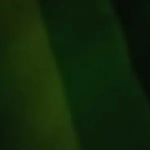 Facial Face massage VEEBHRATHOOR W A N I T A LS10